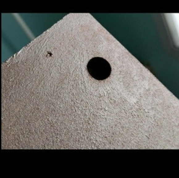 🎃🍁NEW Halloween Autumn Haunted House Wall Decoration/Picture/Pai… - Picture 12 of 12